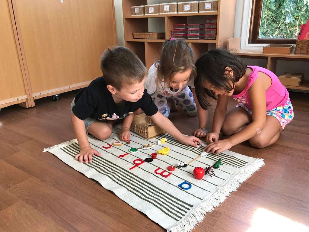 Kids Collective Preschool - Montessori and Reggio Program | 12333 Allin St, Culver City, CA 90230, USA | Phone: (310) 439-2022