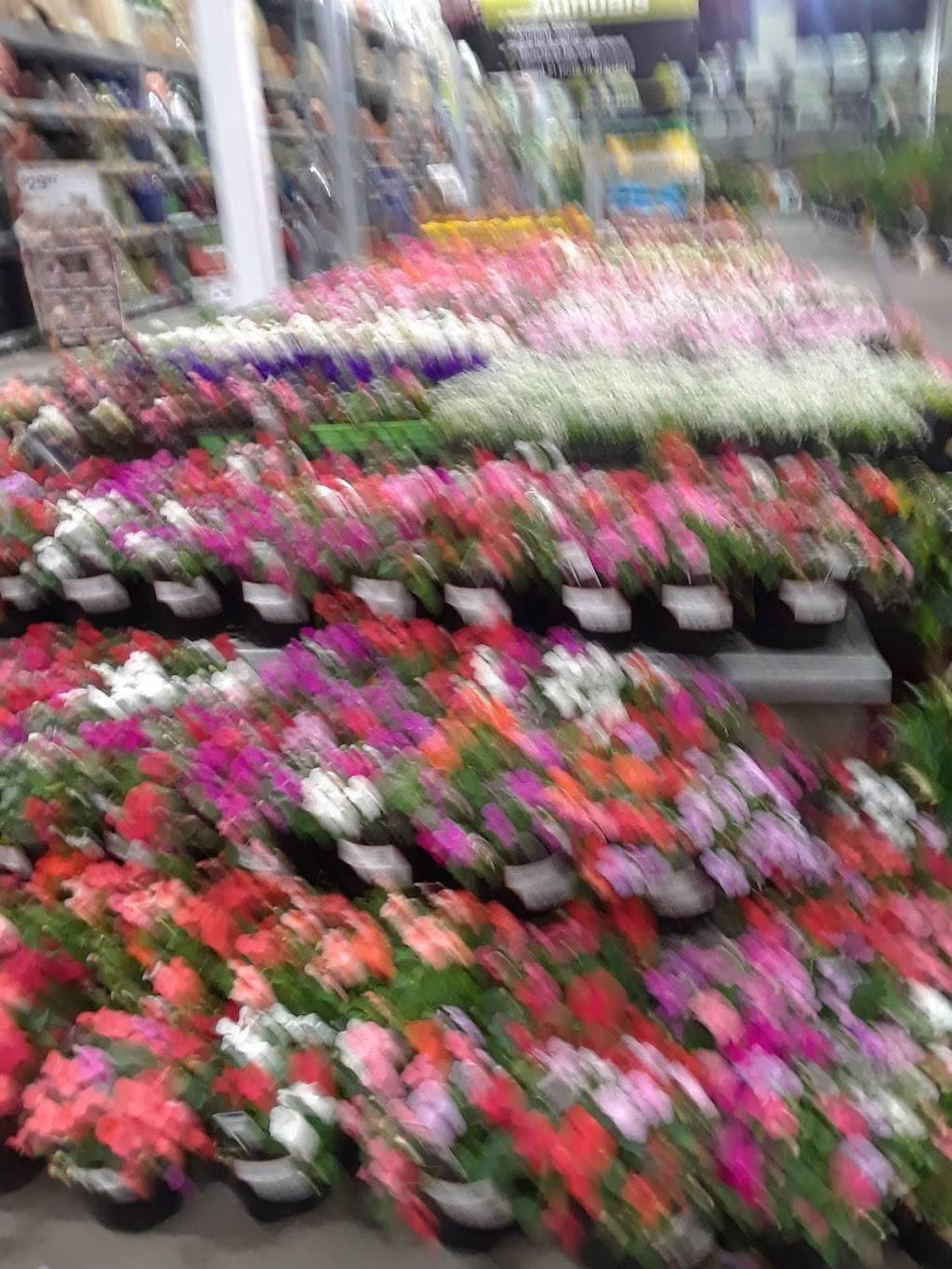 Garden Center at The Home Depot | 1750 E Edinger Ave, Santa Ana, CA 92705, USA | Phone: (714) 259-1030