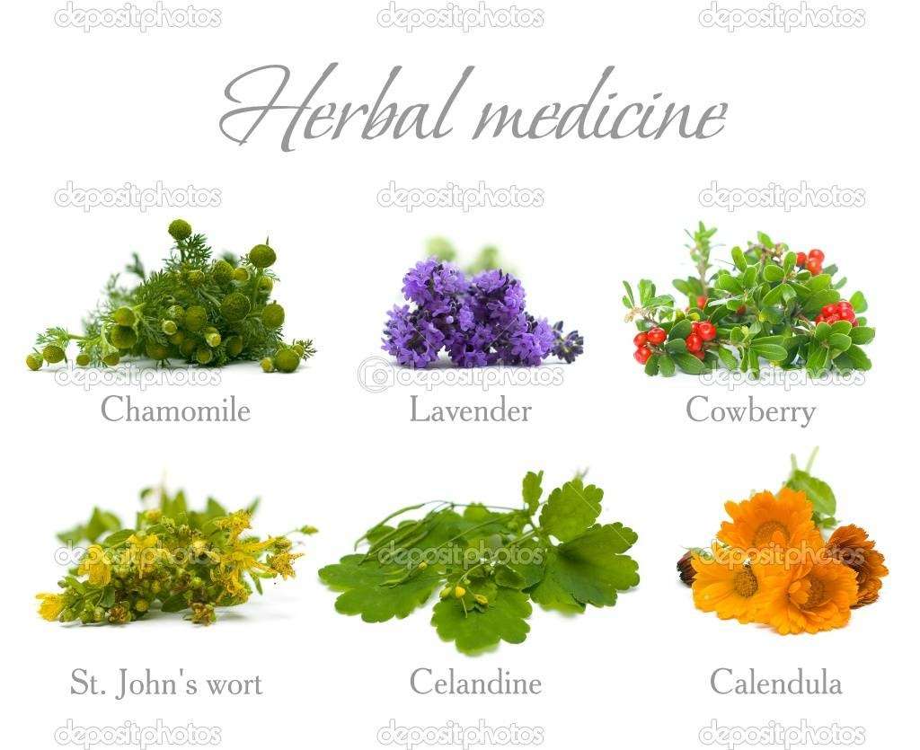 Shenphen Ling Healing Center | 61 Renato Ct #15, Redwood City, CA 94061, USA | Phone: (408) 898-4308