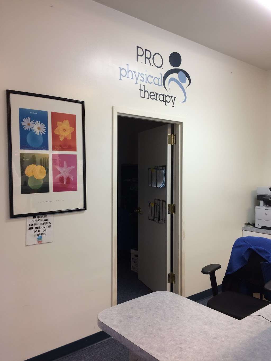 PRO Physical Therapy | 1729 N Shenandoah Ave, Front Royal, VA 22630, USA | Phone: (540) 636-6179