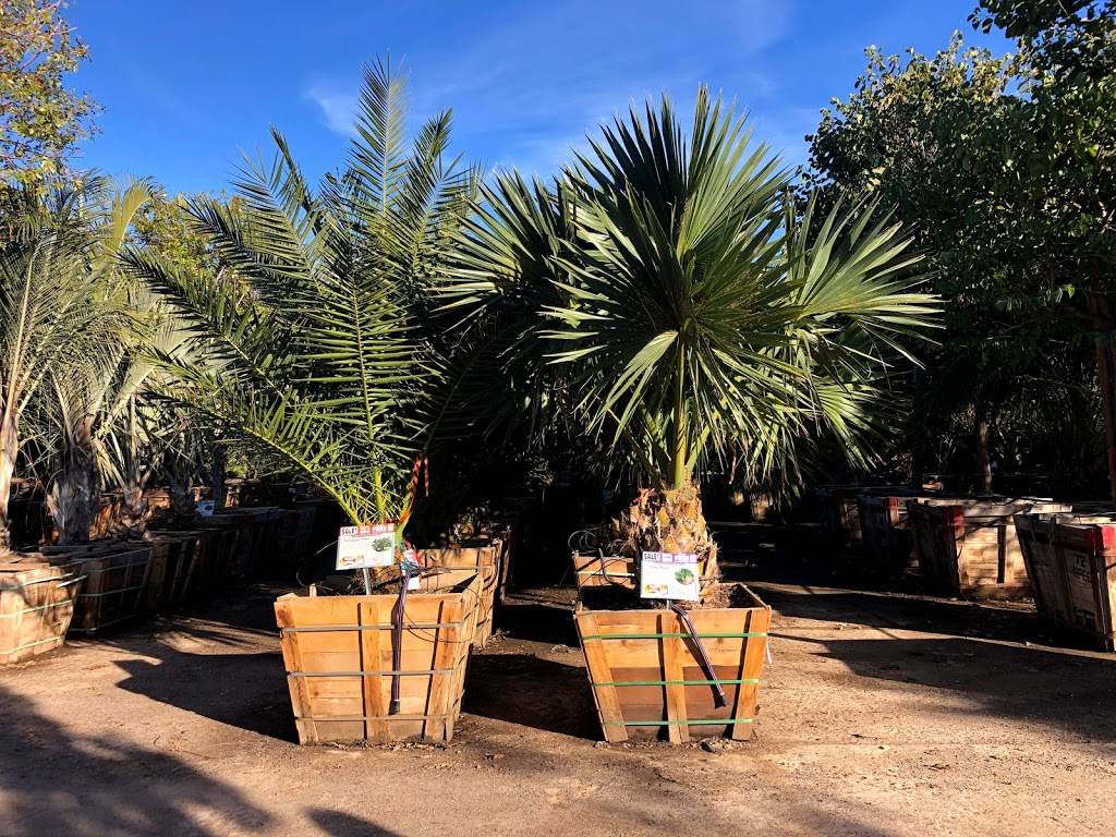 Moon Valley Nurseries | 18047 N Tatum Blvd, Phoenix, AZ 85032, USA | Phone: (480) 374-3964