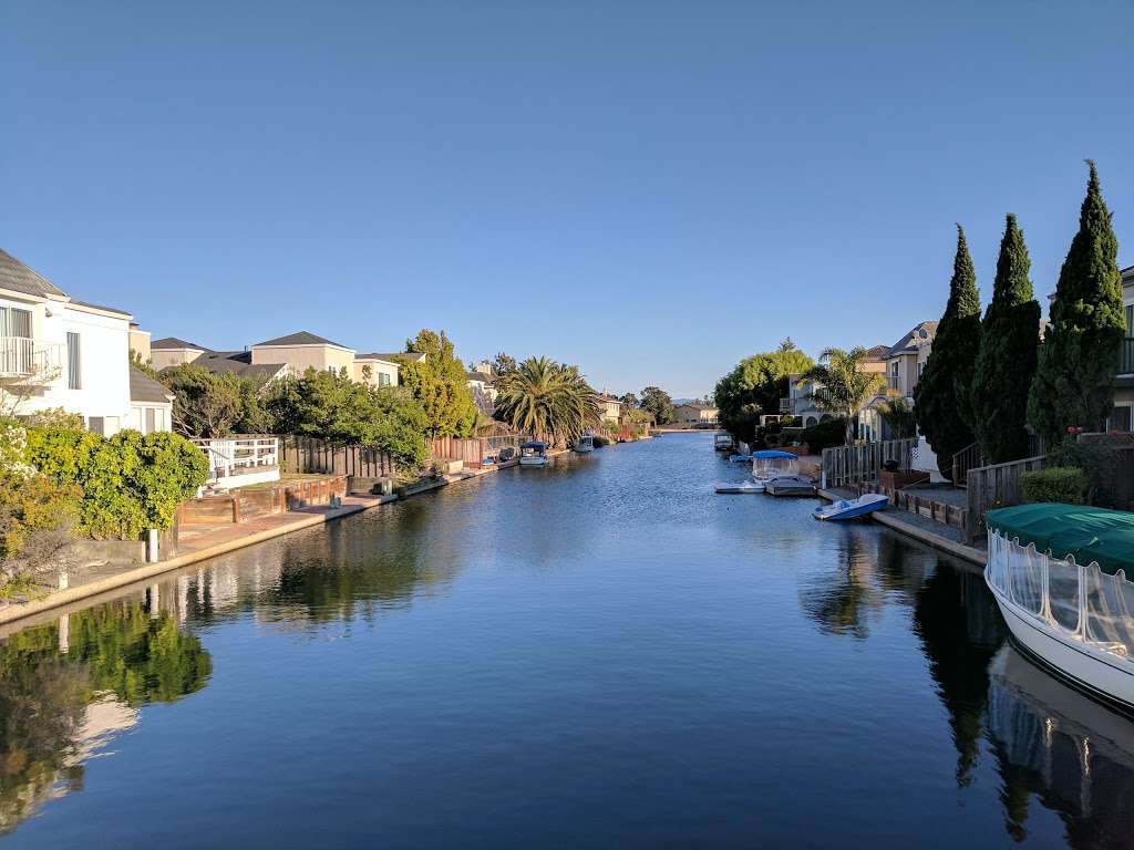 Shad Park | Foster City, CA 94404