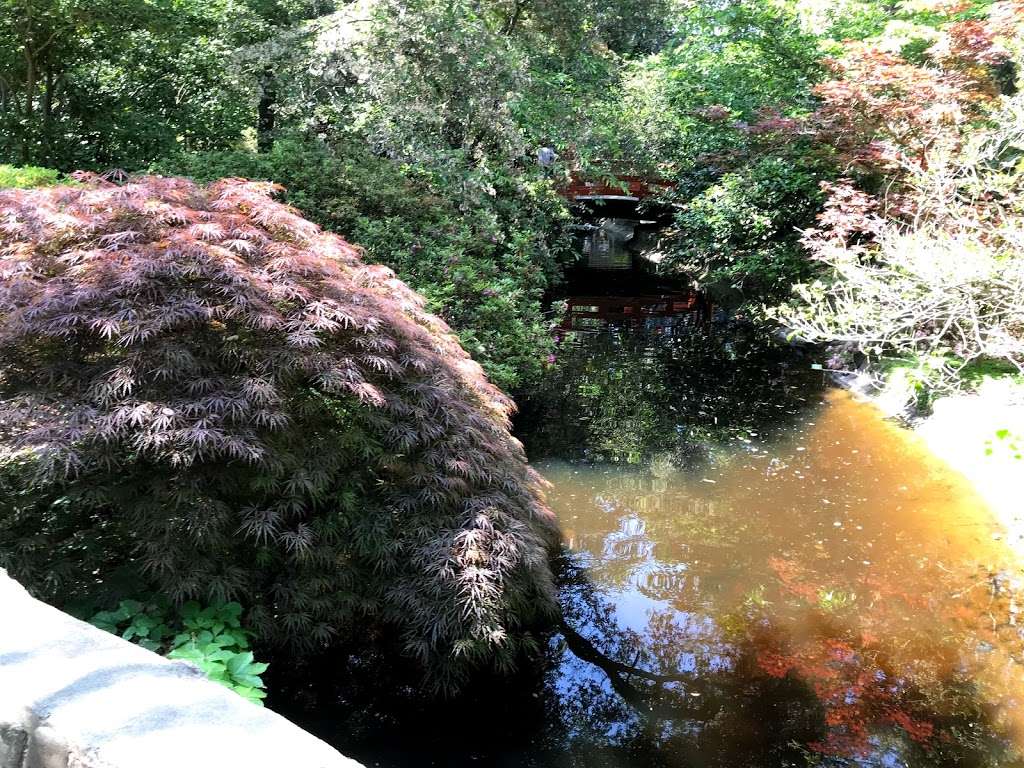 Japanese Garden | La Cañada Flintridge, CA 91011, USA | Phone: (818) 949-4200