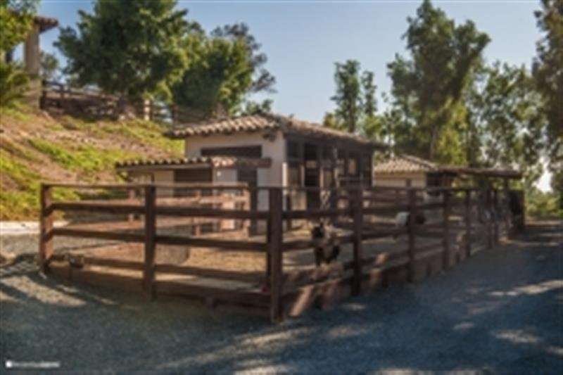 Solutions Through Horses Equine Therapy | 11464 Pinehurst Dr, Lakeside, CA 92040, USA | Phone: (858) 707-5537