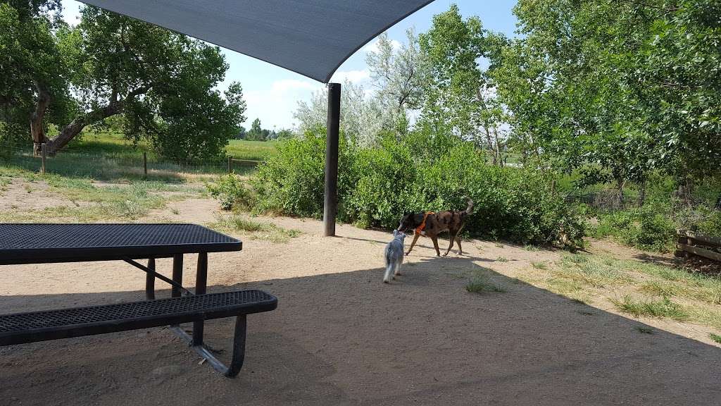 Hound Hill Dog Park | 9651 S Quebec St, Highlands Ranch, CO 80130, USA | Phone: (303) 791-2710