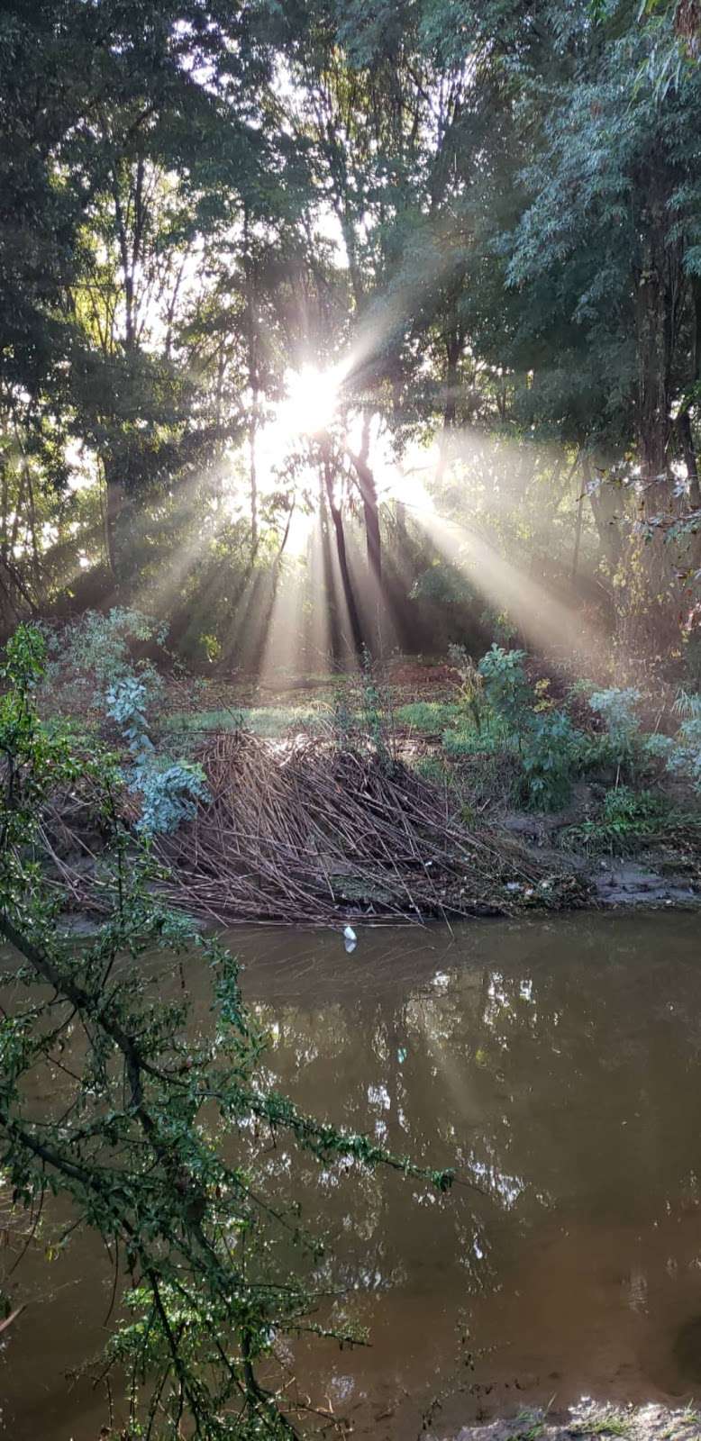 Bonelli Park Trail | Bonelli Park Trail, San Dimas, CA 91773, USA