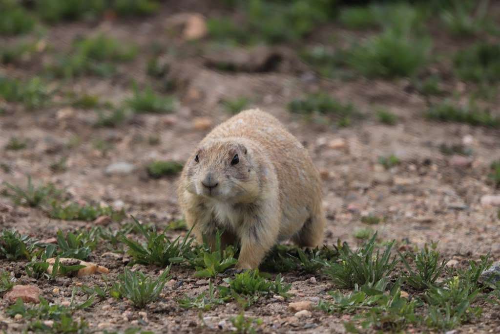 Standley Lake Regional Park | 8600 Simms St, Westminster, CO 80021, USA