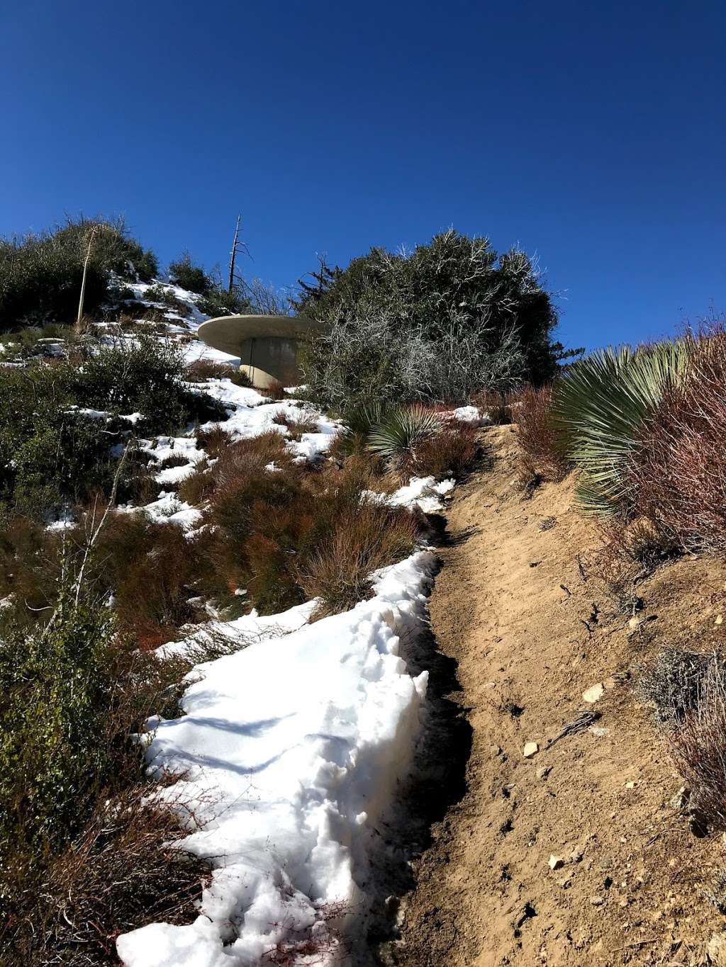 Strawberry peak west ridge trailhead | Colby Cyn Trail, Palmdale, CA 93550, USA