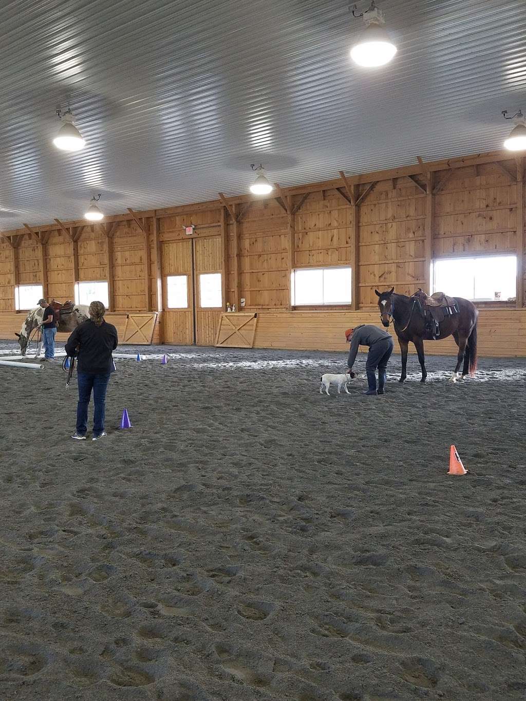 Triaingle Therapeutic Riding | 30 Martin Dr, Reinholds, PA 17569, USA | Phone: (717) 371-3654