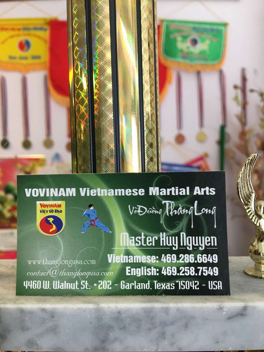 Vovinam Vietnamese Martial Arts | 4460 W Walnut St #202, Garland, TX 75042, USA | Phone: (469) 286-6649