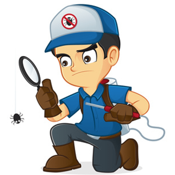 Affordable pest control | 24 Staples St, Danbury, CT 06810 | Phone: (475) 206-3764