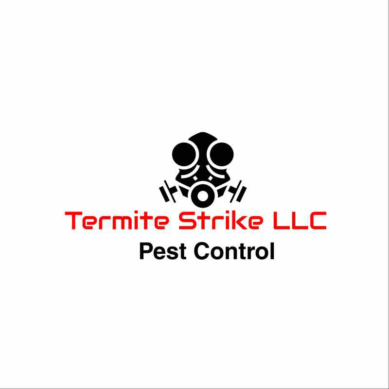 Termite Strike LLC | 2716 NW 56th St, Miami, FL 33142, USA | Phone: (305) 926-5825