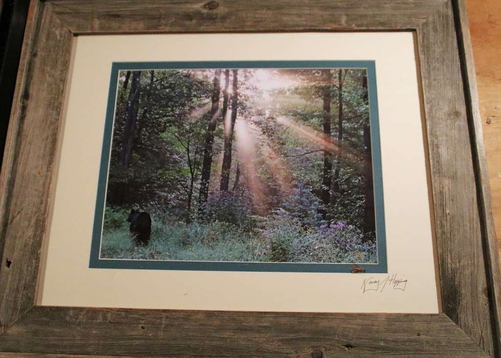 Nancys Photos and Flyfishing | 139 Carol Lee Rd, Greentown, PA 18426, USA | Phone: (570) 676-9465