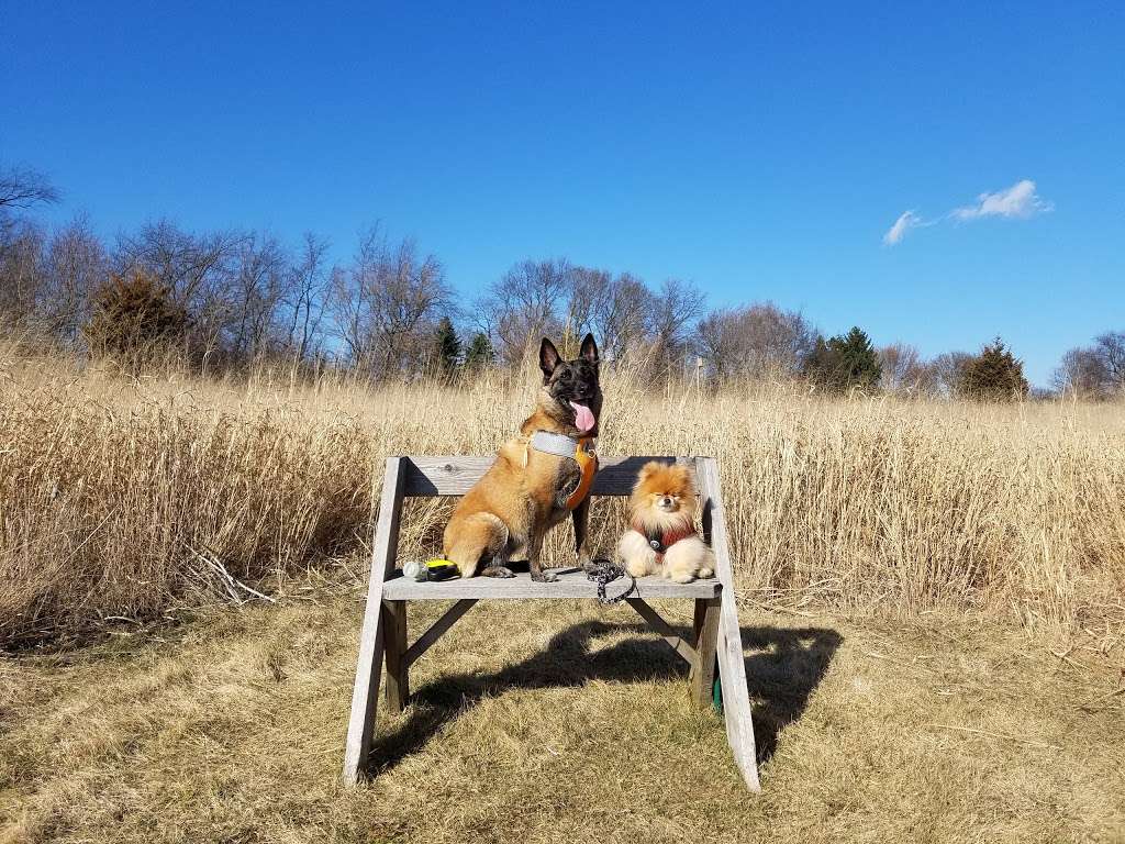 Jelke Creek Bird Sanctuary | Boncosky Rd, Dundee Township, IL 60118 | Phone: (847) 428-8092