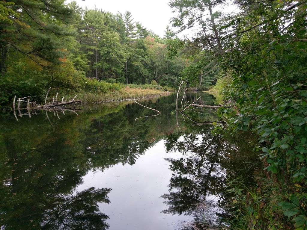 Nissitissit Wildlife Management Area | Pepperell, MA 01463, USA