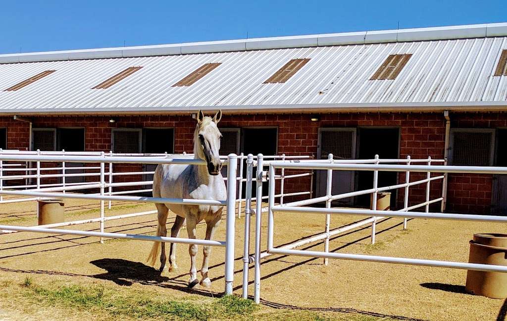 Houston Police Department Mounted Patrol Barn | 5005 Little York Rd, Houston, TX 77016 | Phone: (832) 394-0399