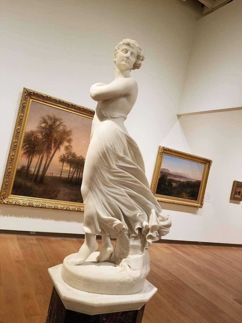 Orlando Museum of Art | 2416 N Mills Ave, Orlando, FL 32803, USA | Phone: (407) 896-4231