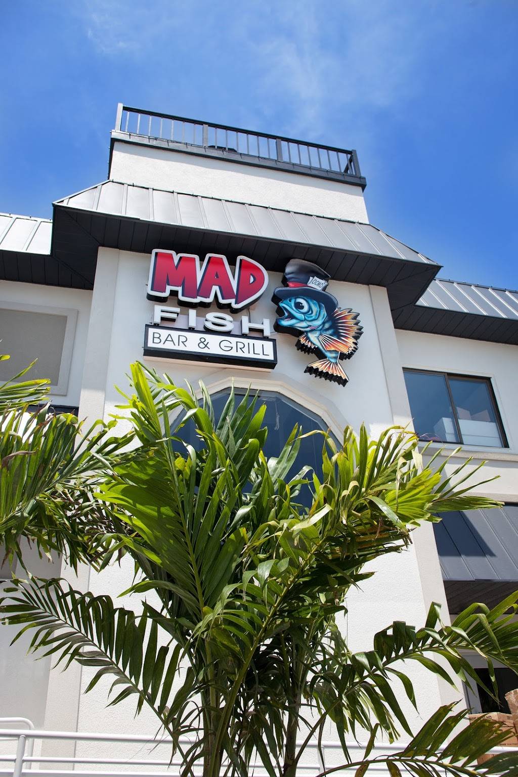 Mad Fish Bar & Grill | 12817 Harbor Rd, Ocean City, MD 21842, USA | Phone: (410) 213-2525