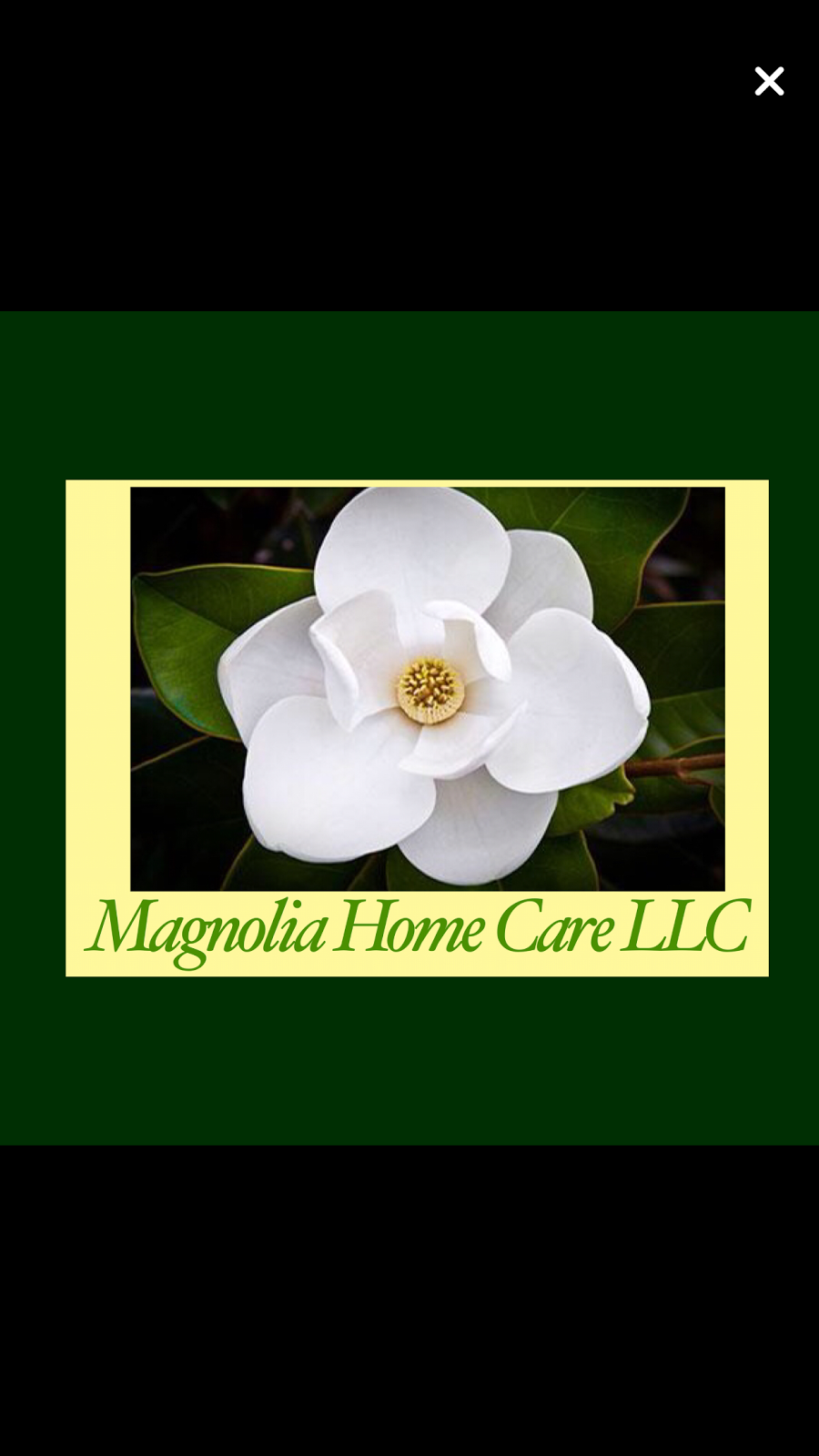 Magnolia Home Care LLC | 1629 Matt Leonard Dr SW, Birmingham, AL 35211 | Phone: (205) 208-9546