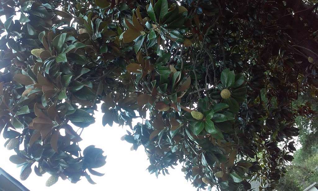 Nesbit Park | Nesbit Ave, Mooresville, NC 28115, USA Nesbit Park | Nesbit Ave, Mooresville, NC 28115, USA