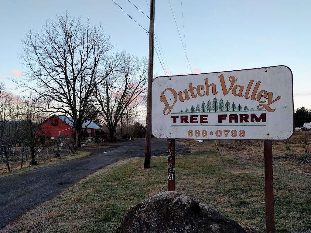 Dutch Valley Tree Farm | 166 Changewater Rd, Washington, NJ 07882 | Phone: (908) 689-0793