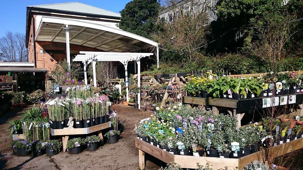 Camden Garden Centre | 2 Barker Dr, London NW1 0JW, UK | Phone: 020 7387 7080