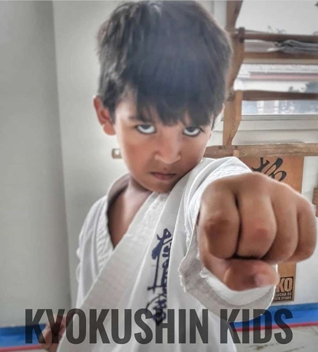 Dallas Kyokushin Karate | Alpha Midway Dance Studio, 13740 Midway Rd #714, Dallas, TX 75244, USA | Phone: (972) 695-9810