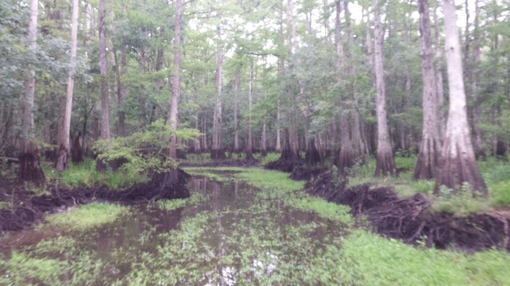 A-Awesome Airboat Rides | 1435-901 Cupid Ave, Christmas, FL 32709, USA | Phone: (407) 568-7601