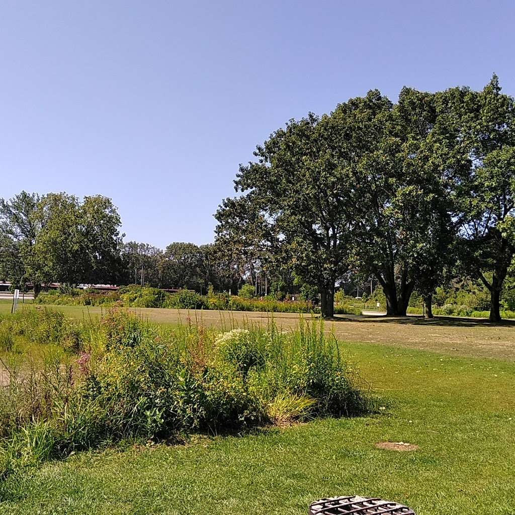 Powderhorn Marsh and Prairie | Chicago, IL 60633