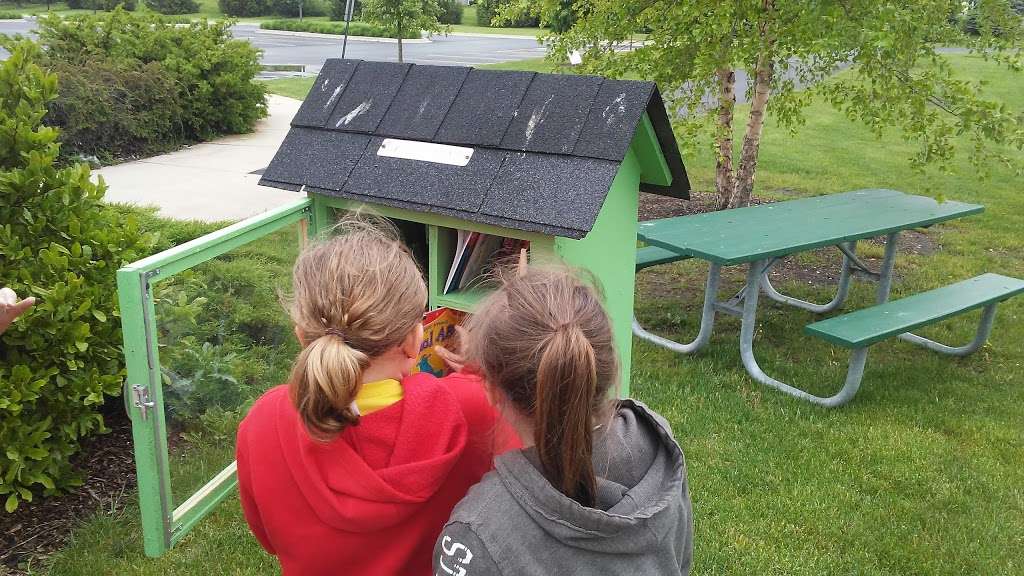 Little Free Library | 1504 Trails End Ln, Bolingbrook, IL 60490