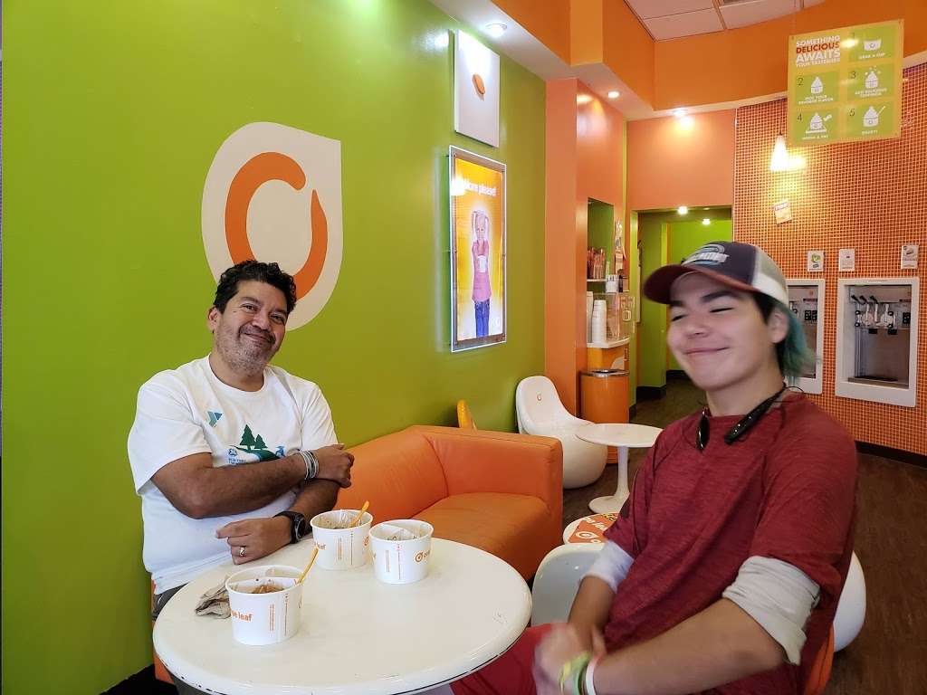 Orange Leaf Frozen Yogurt The Woodlands | 6777 Woodlands Pkwy #212, Spring, TX 77382 | Phone: (281) 651-2194