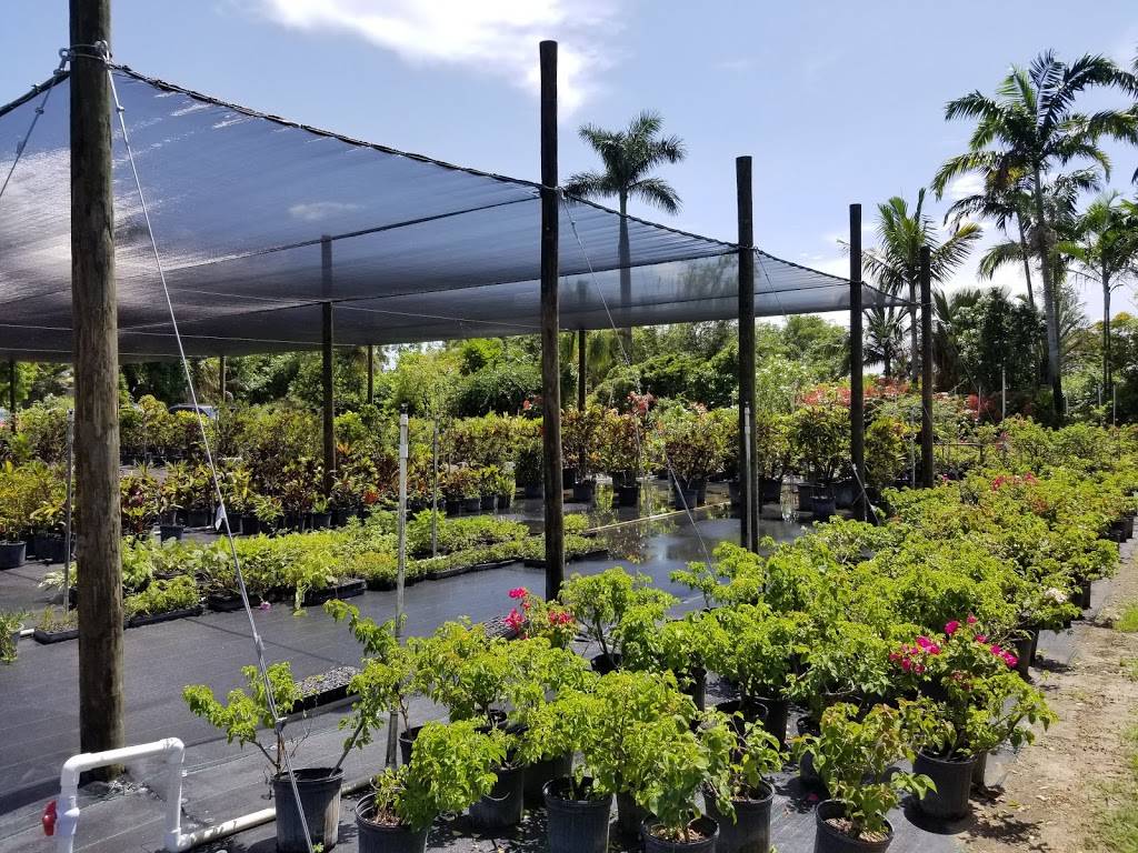 Richard Lyons Nursery | 20200 SW 134th Ave, Miami, FL 33177, USA | Phone: (305) 251-6293