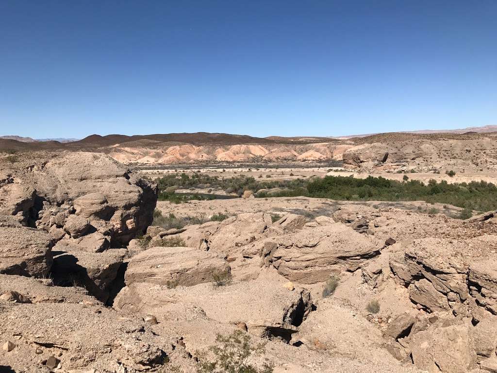 Bluff Trailhead | Bluff Trail, Boulder City, NV 89005, USA