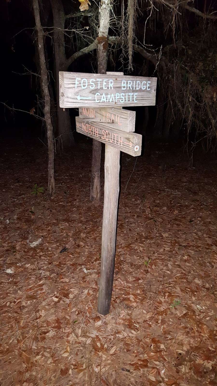 Foster Bridge Campsite (Backcountry) | Dade City, FL 33525, USA