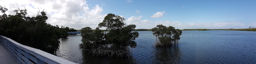 Anne Kolb Nature Center | 751 Sheridan St, Hollywood, FL 33019, USA | Phone: (954) 357-5161