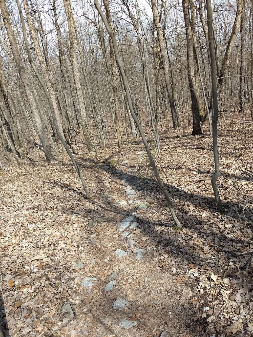 Center Point Knob | Appalachian Trail, Boiling Springs, PA 17007