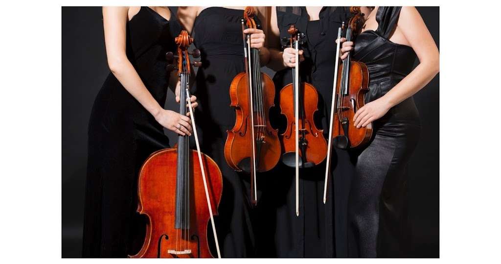 Denver String Quartet | 1396 Flannagan Ct, Erie, CO 80516 | Phone: (720) 346-7919