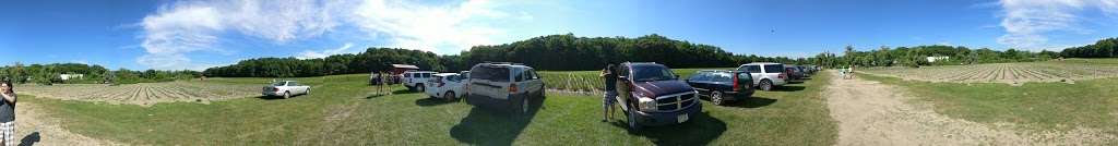 Farm strawberries pickup | 519 US-206, Newton, NJ 07860, USA