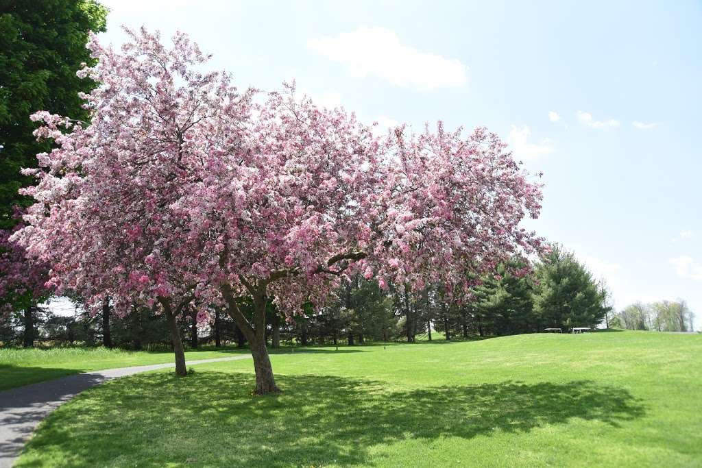 Foxchase Golf Club | 300 Stevens Rd, Stevens, PA 17578, USA | Phone: (717) 336-3673 Foxchase Golf Club | 300 Stevens Rd, Stevens, PA 17578, USA | Phone: (717) 336-3673