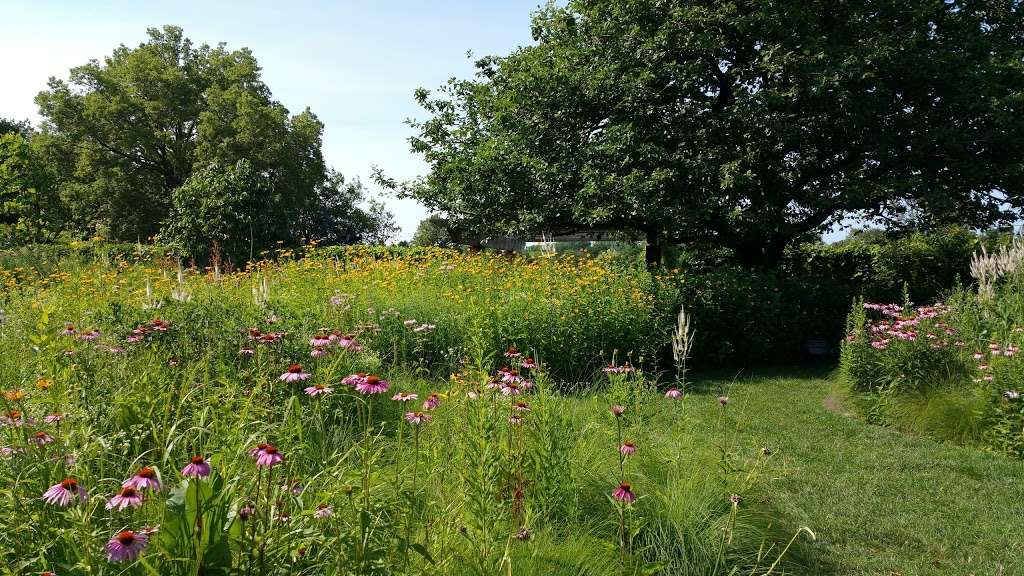 Native Plant Garden | Northbrook, IL 60062