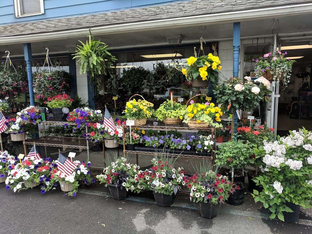 Blue Barn Nursery | 3890 Hollo Rd, Easton, PA 18045, USA | Phone: (610) 759-4750