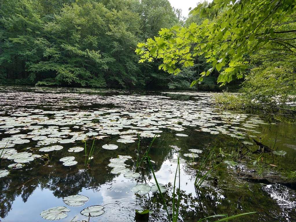 Stephenson Nature Preserve | 009 41 47A 162, Bethel, CT 06801, USA