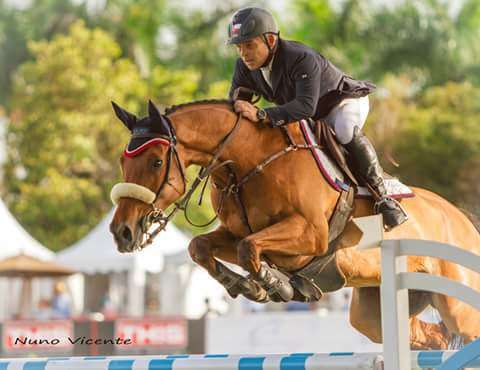 Equine Dentistry Vincent Ferry | The Acreage, Loxahatchee, FL 33470, USA | Phone: (305) 244-0678