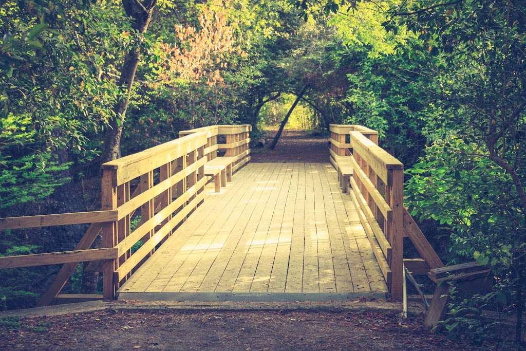 Edith L Moore Nature Sanctuary | 440 Wilchester Blvd, Houston, TX 77079 | Phone: (713) 932-1639