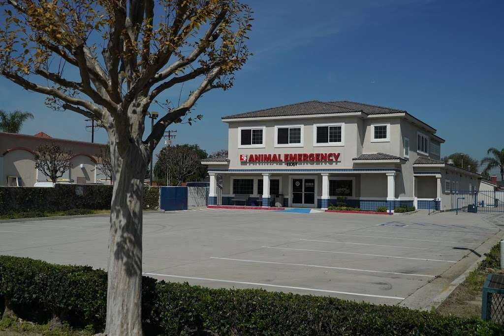 CROSSROADS ANIMAL EMERGENCY | 11057 Rosecrans Ave, Norwalk, CA 90650, USA | Phone: (562) 262-3446