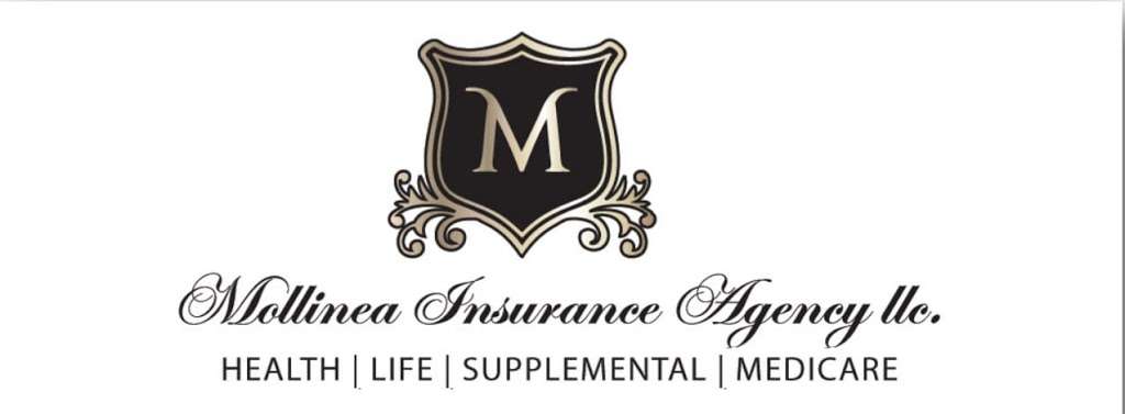 Mollinea Insurance Agency LLC | 191 Daffodil Dr, East Stroudsburg, PA 18301, USA | Phone: (570) 369-4101