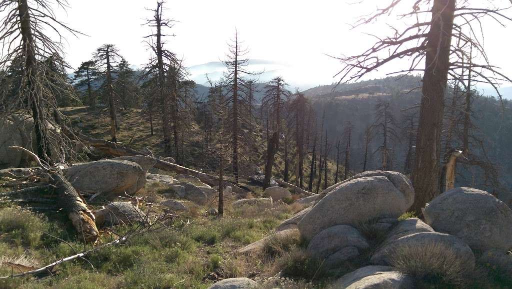 Upper Pacifico Campground | 29047 Aliso Canyon Rd, Palmdale, CA 93550, USA