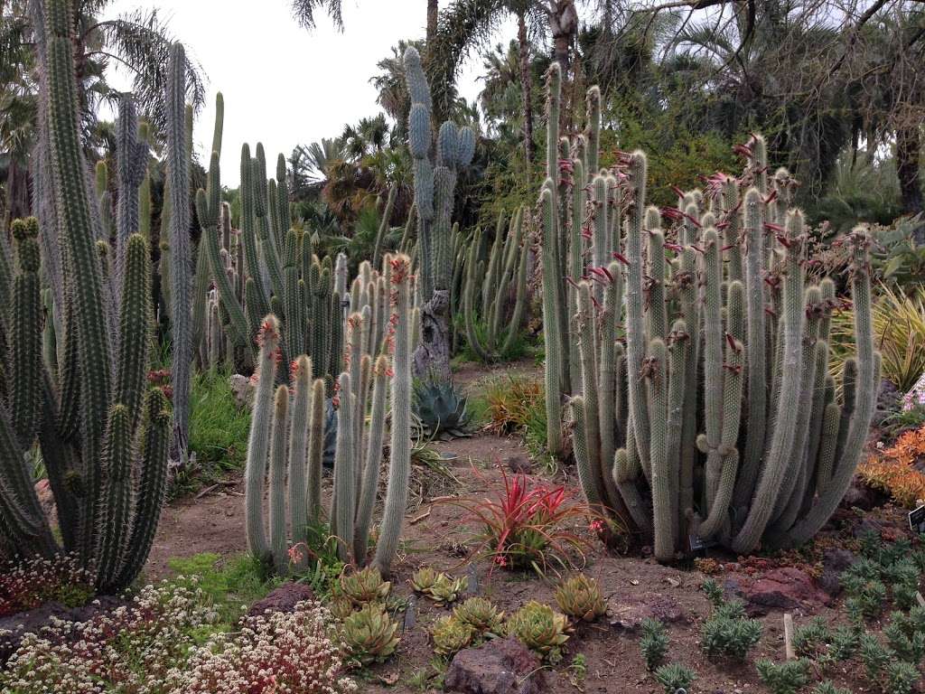 Desert Garden | San Marino, CA 91108, USA