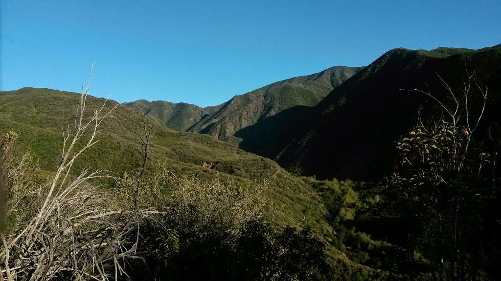 Wheeler Gorge Visitor Center | Maricopa Hwy, Ojai, CA 93023, USA