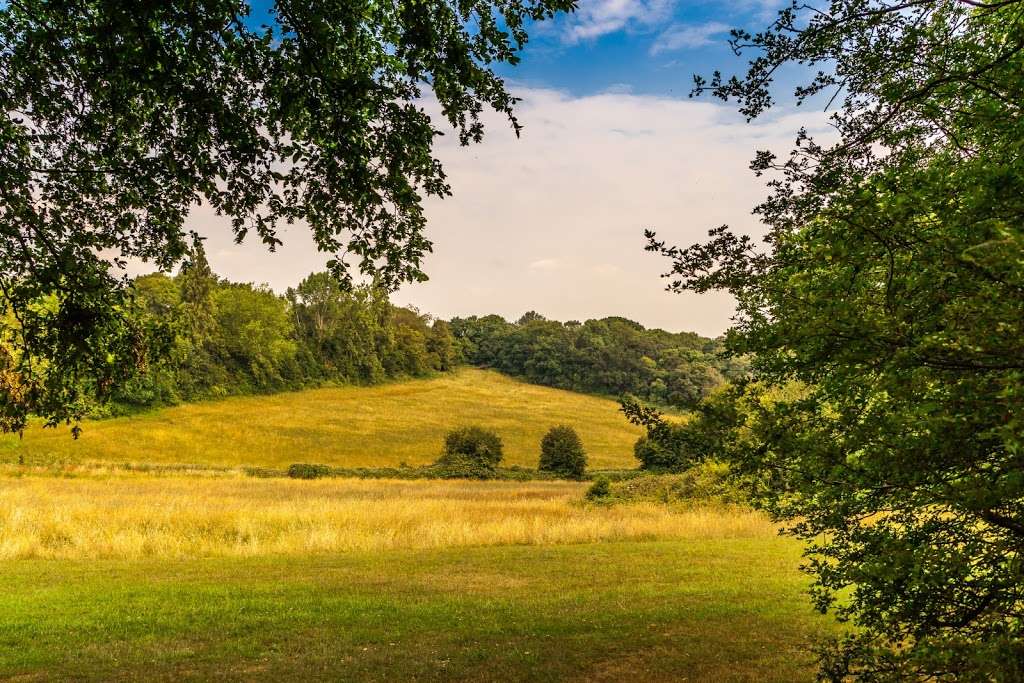 Langdon Hills Country Park | One Tree Hill, Horndon on the Hill, Corringham SS17 9NH, UK | Phone: 01268 542066